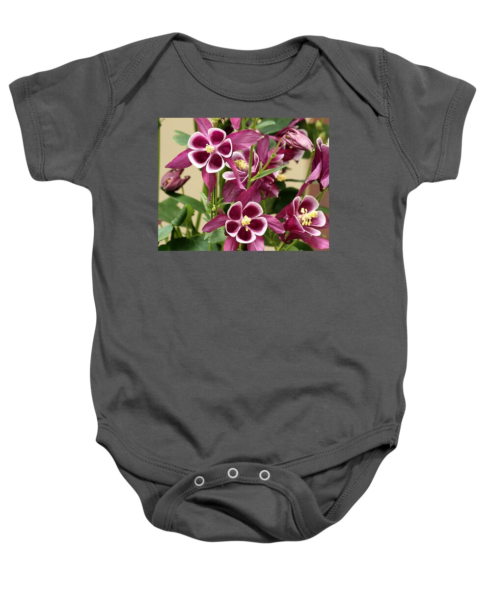 Nature Baby Onesie featuring the photograph Purple Columbine Flowers by Sheila Brown
