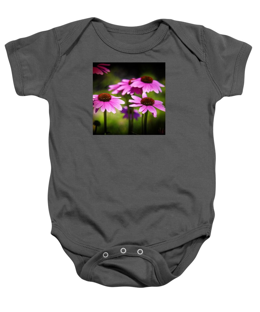 Purple Coneflowers Baby Onesie featuring the photograph Purple Coneflowers by Milena Ilieva