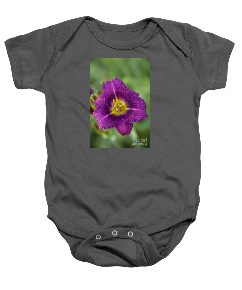 Flower Baby Onesie featuring the photograph Purple Daze by Douglas Kikendall