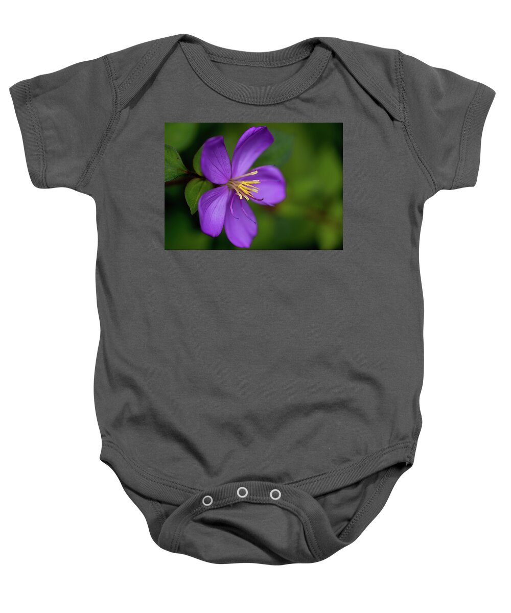 hamama Falls Baby Onesie featuring the photograph Purple flower Macro by Dan McManus