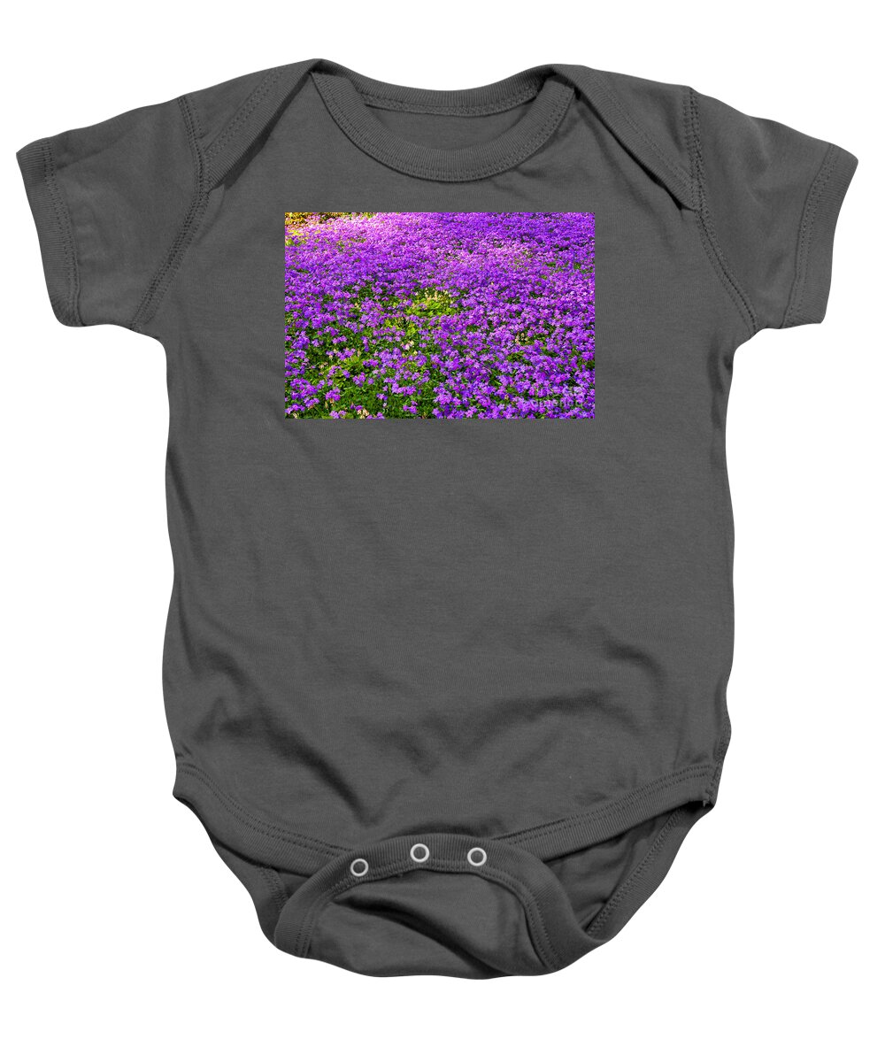 Flowers Baby Onesie featuring the photograph Purple Phlox by Rich Walter