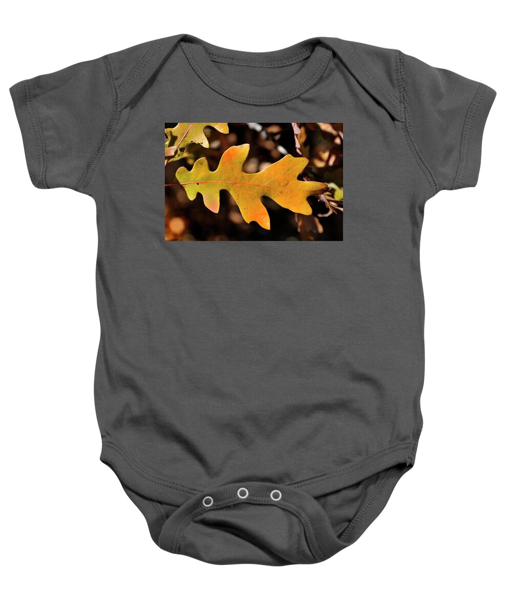 Nature Baby Onesie featuring the photograph Pygmy Oak I by Ron Cline