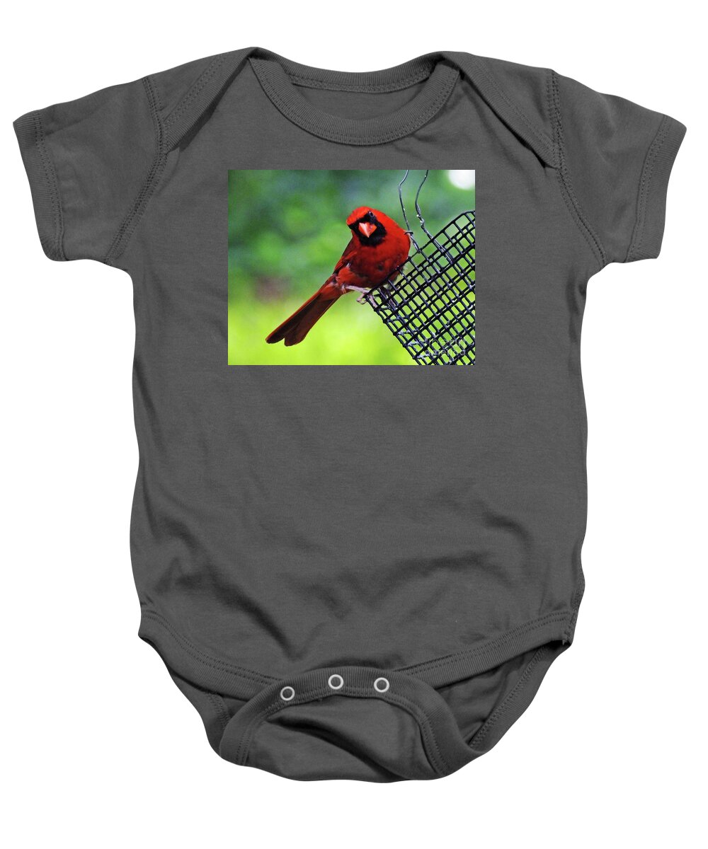 Cardianl Baby Onesie featuring the photograph Quisical Cardinal by Lizi Beard-Ward