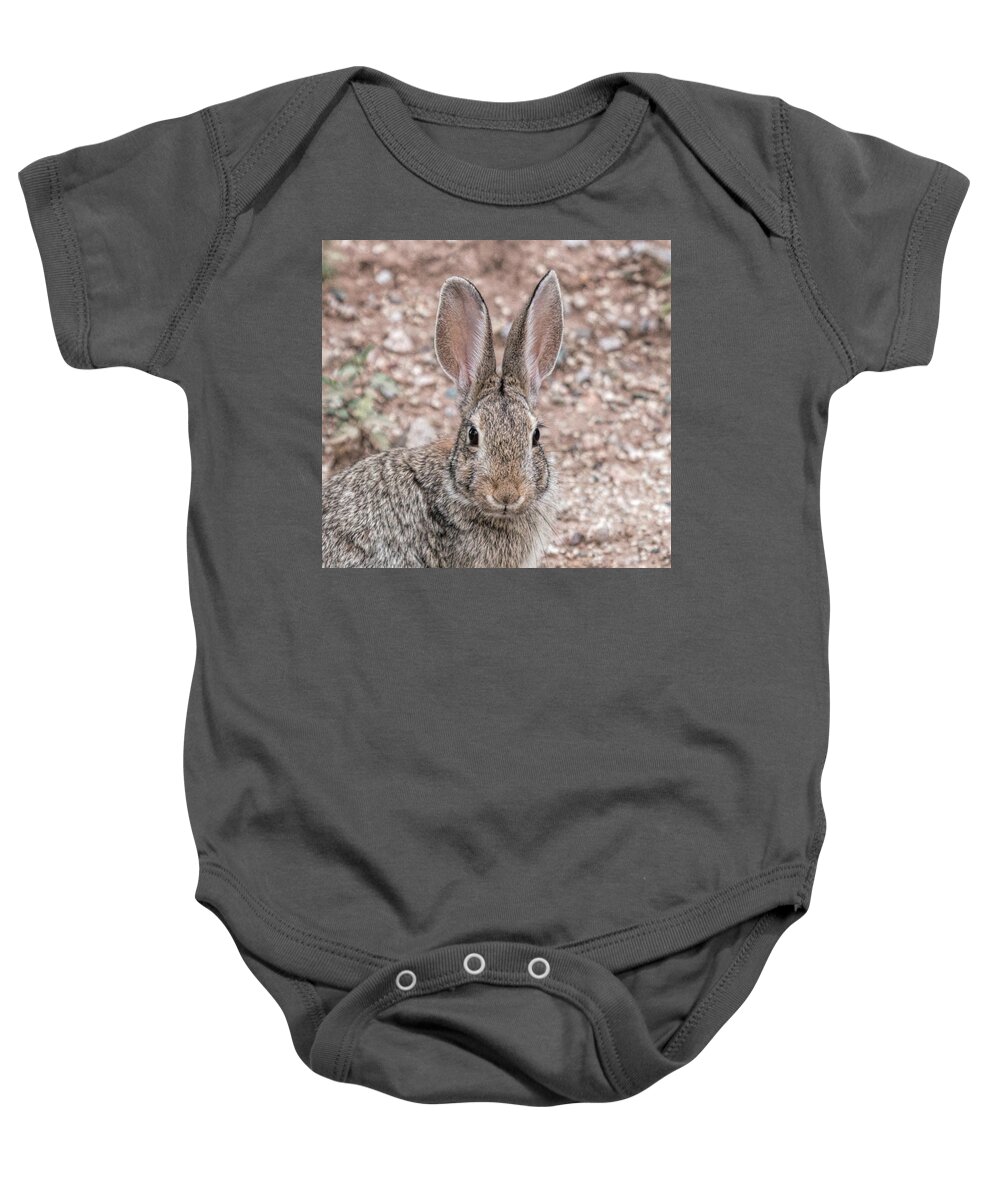 Rabbitt Baby Onesie featuring the photograph RaBBIT sTARE by Dorothy Cunningham