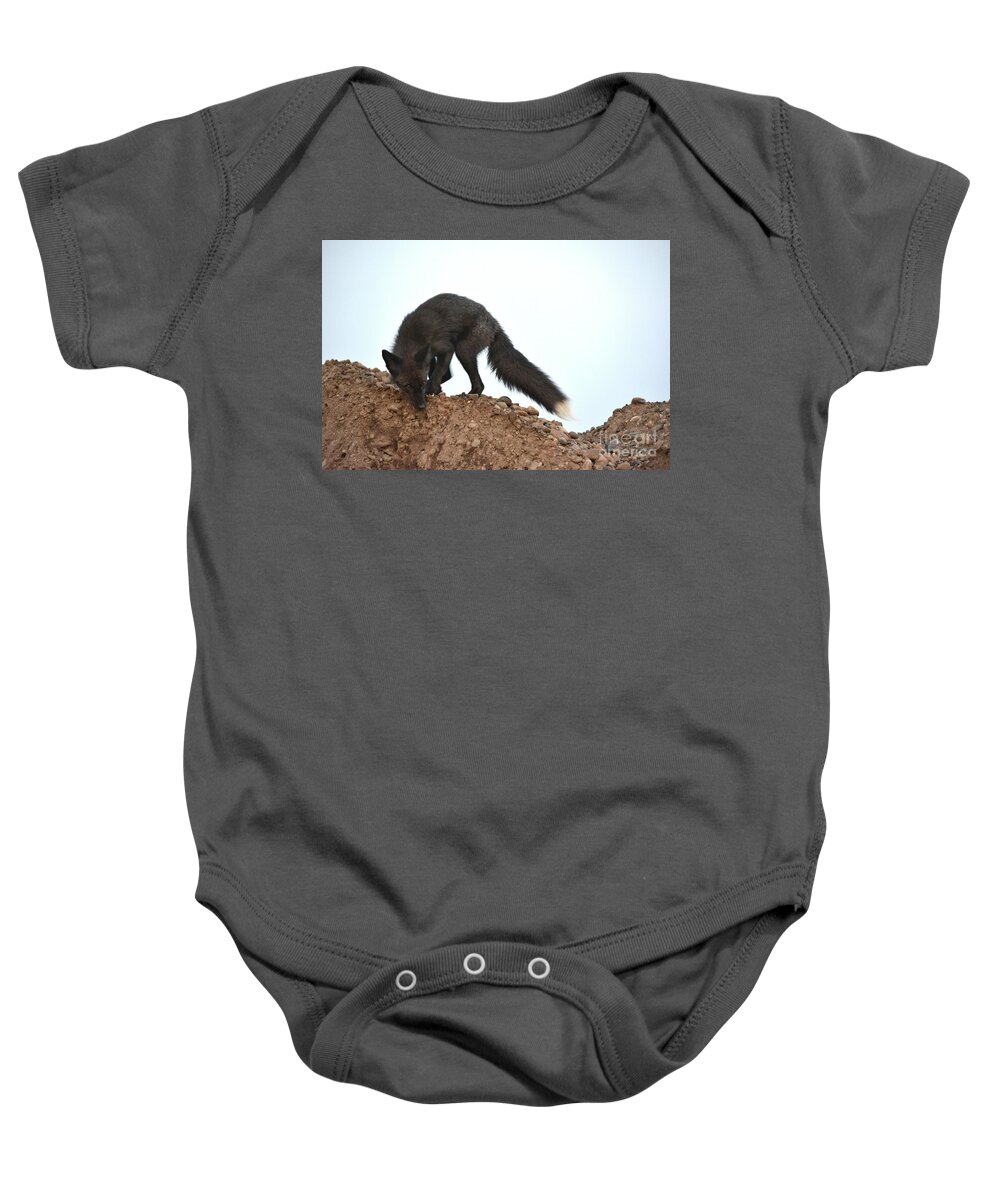 Fox Baby Onesie featuring the photograph Ready To Pounce by Vivian Martin