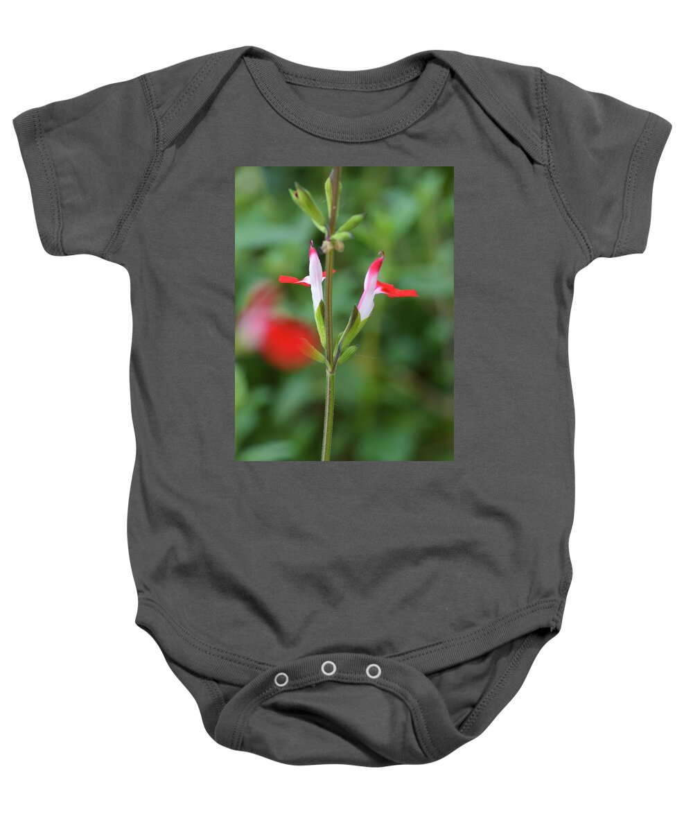 Red And White On Green Baby Onesie featuring the photograph Red and White on Green by Warren Thompson