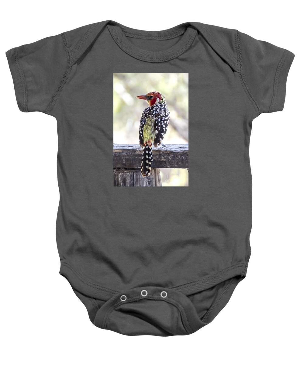 Bird Baby Onesie featuring the photograph Red-and-Yellow Barbet by Pravine Chester