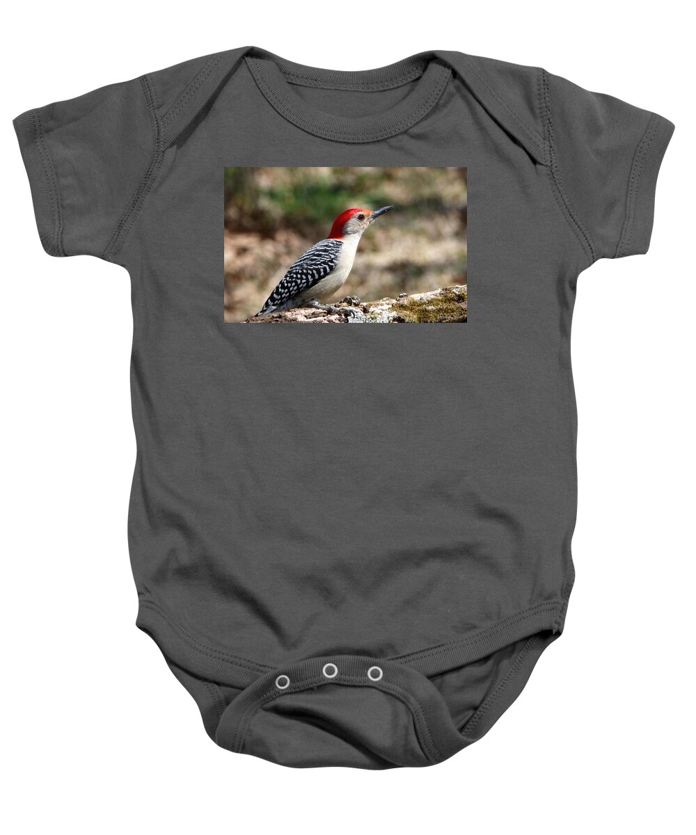 Nature Baby Onesie featuring the photograph Red-bellied Woodpecker by Sheila Brown