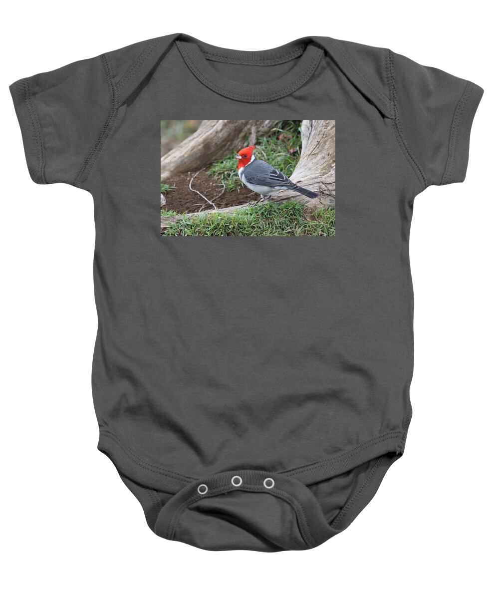Red Crested Cardinal Baby Onesie featuring the photograph Red Crested Cardinal Male by Lauri Novak