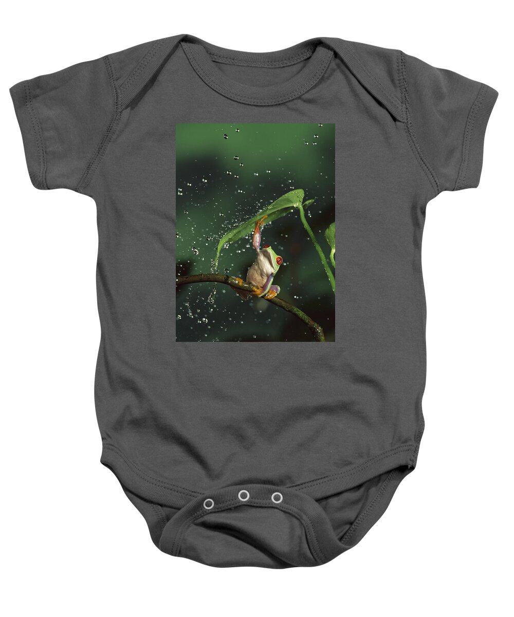 Mp Baby Onesie featuring the photograph Red-eyed Tree Frog In The Rain by Michael Durham