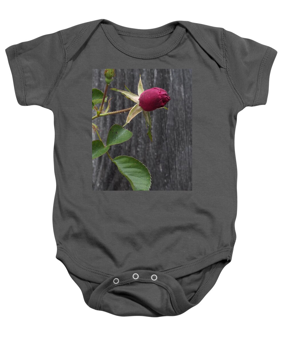 Botanical Baby Onesie featuring the photograph Red Rose Bud by Richard Thomas
