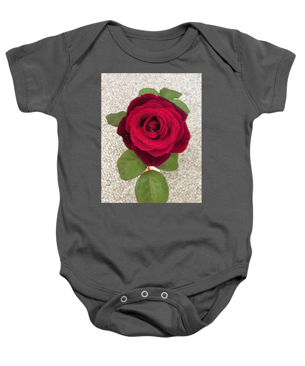 Rose Red Baby Onesie featuring the photograph Red Rose by Erika Jean Chamberlin