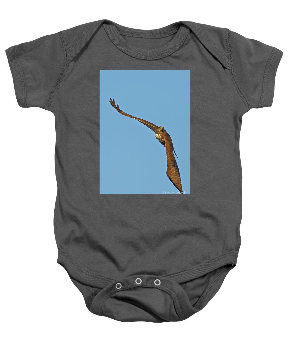 Hawk Baby Onesie featuring the photograph Red Tailed Hawk in California Bird Sanctuary by Natural Focal Point Photography
