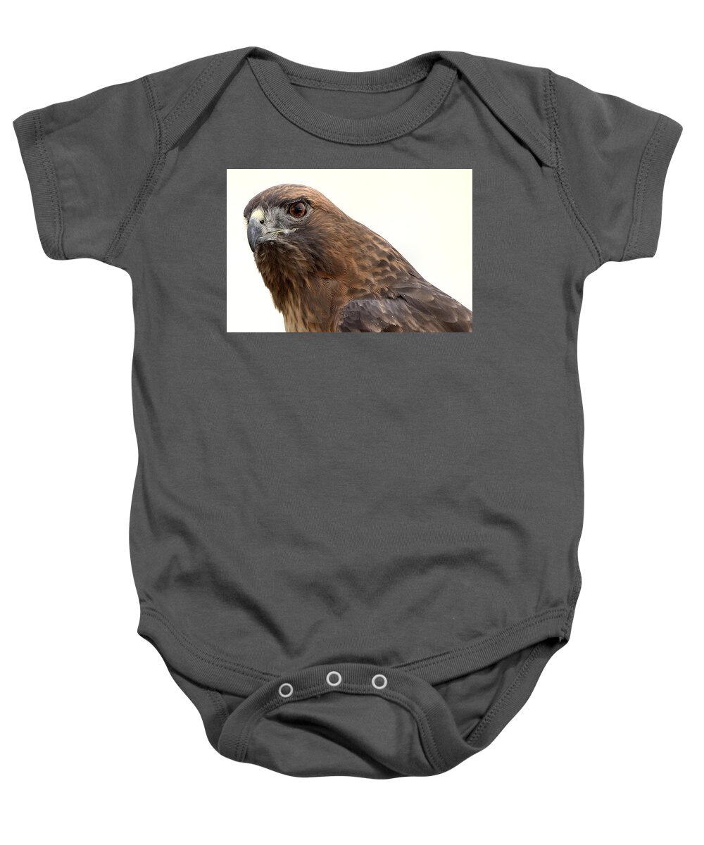 Red Tailed Hawk Baby Onesie featuring the photograph Red Tailed Hawk2 by Michael Gordon