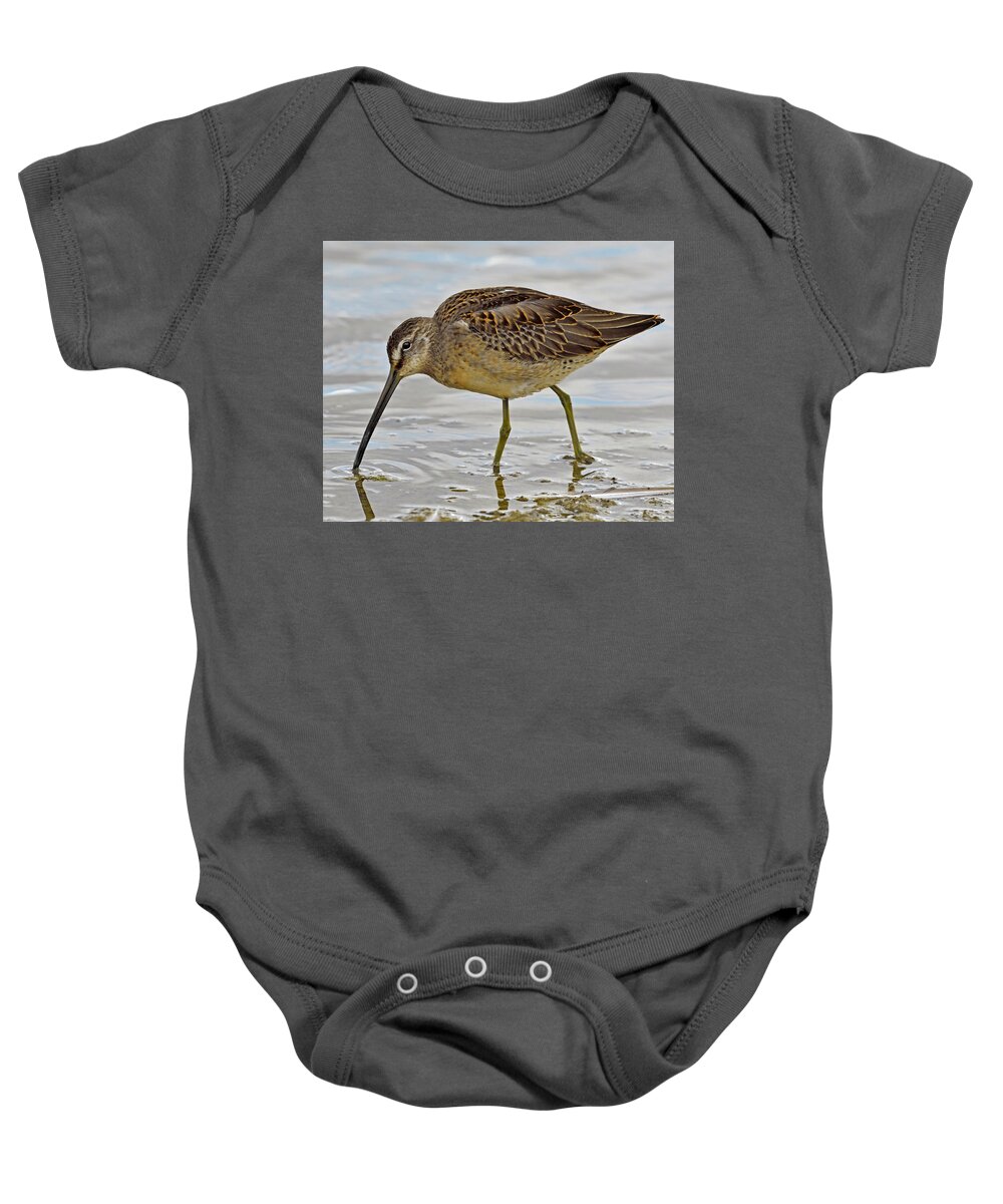 Long-billed Dowitcher Baby Onesie featuring the photograph Refueling by Tony Beck