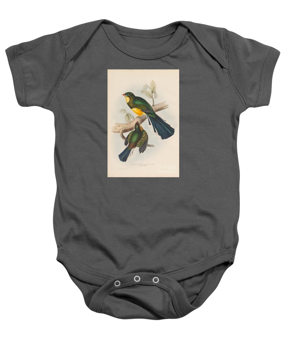 Eagle Baby Onesie featuring the painting Reinwardt's Trogon by Celestial Images