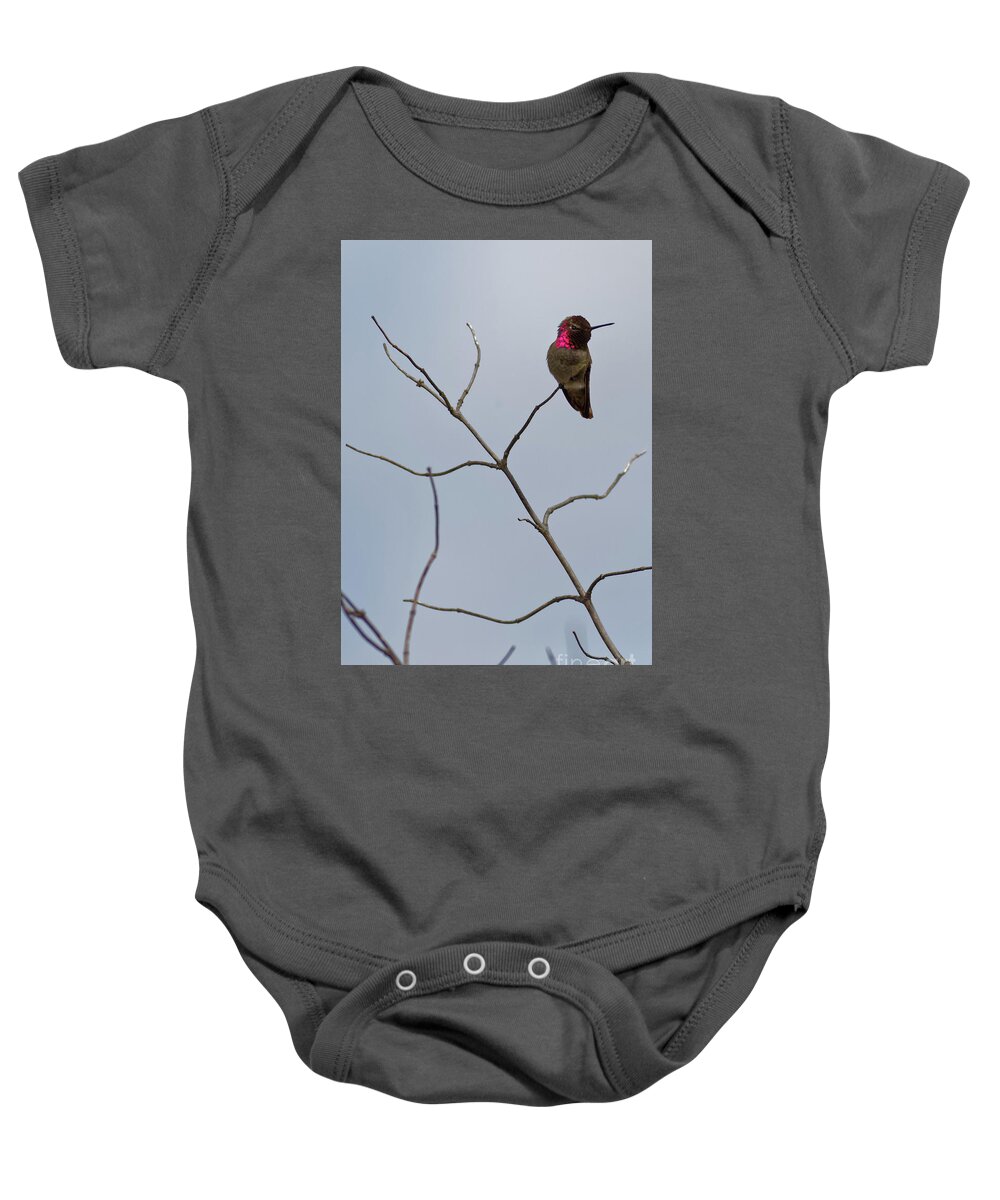 Hummingbird Baby Onesie featuring the photograph Resting Anna's Hummingbird by Natural Focal Point Photography