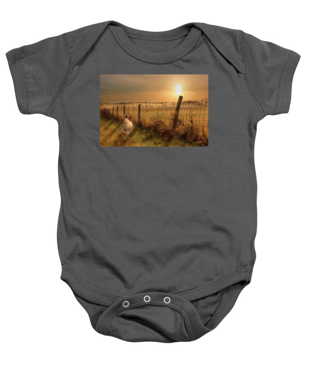 Rooster Baby Onesie featuring the photograph Rise and Shine by Lori Deiter