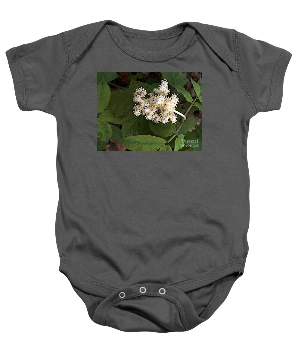 Michigan State University Baby Onesie featuring the photograph Rising Forth by Joseph Yarbrough