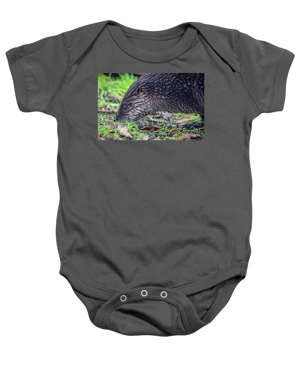 Nature Baby Onesie featuring the photograph River Otter Astray by DB Hayes