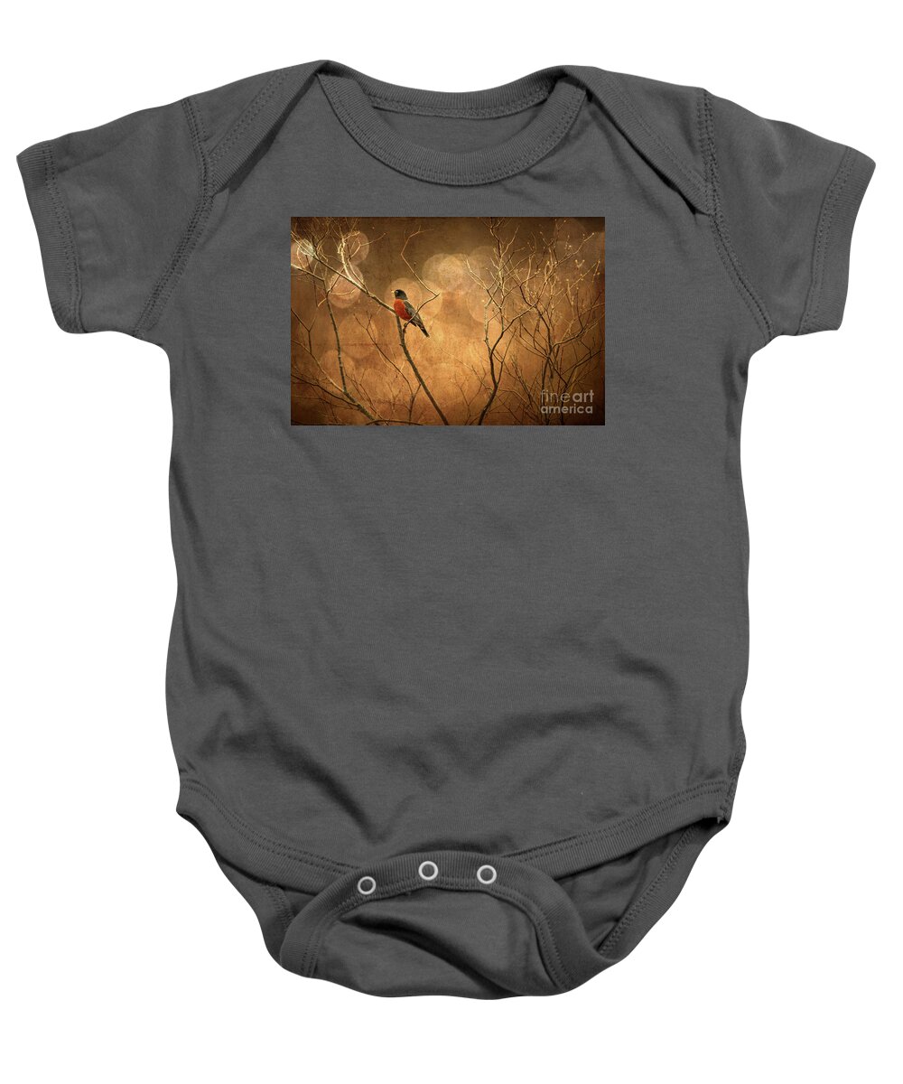 Robin Baby Onesie featuring the photograph Robin by Lois Bryan