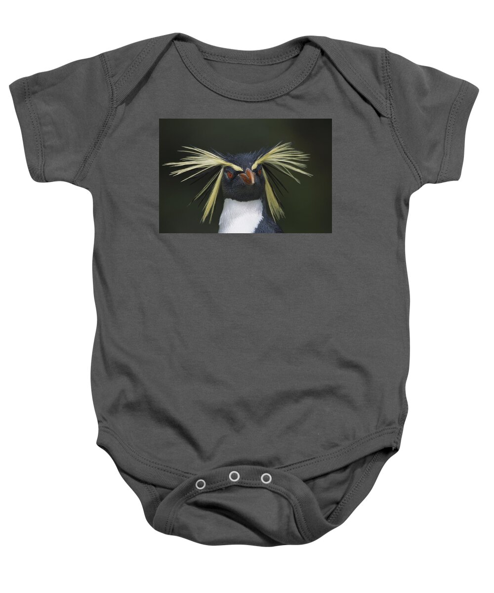 Mp Baby Onesie featuring the photograph Rockhopper Penguin Eudyptes Chrysocome by Tui De Roy