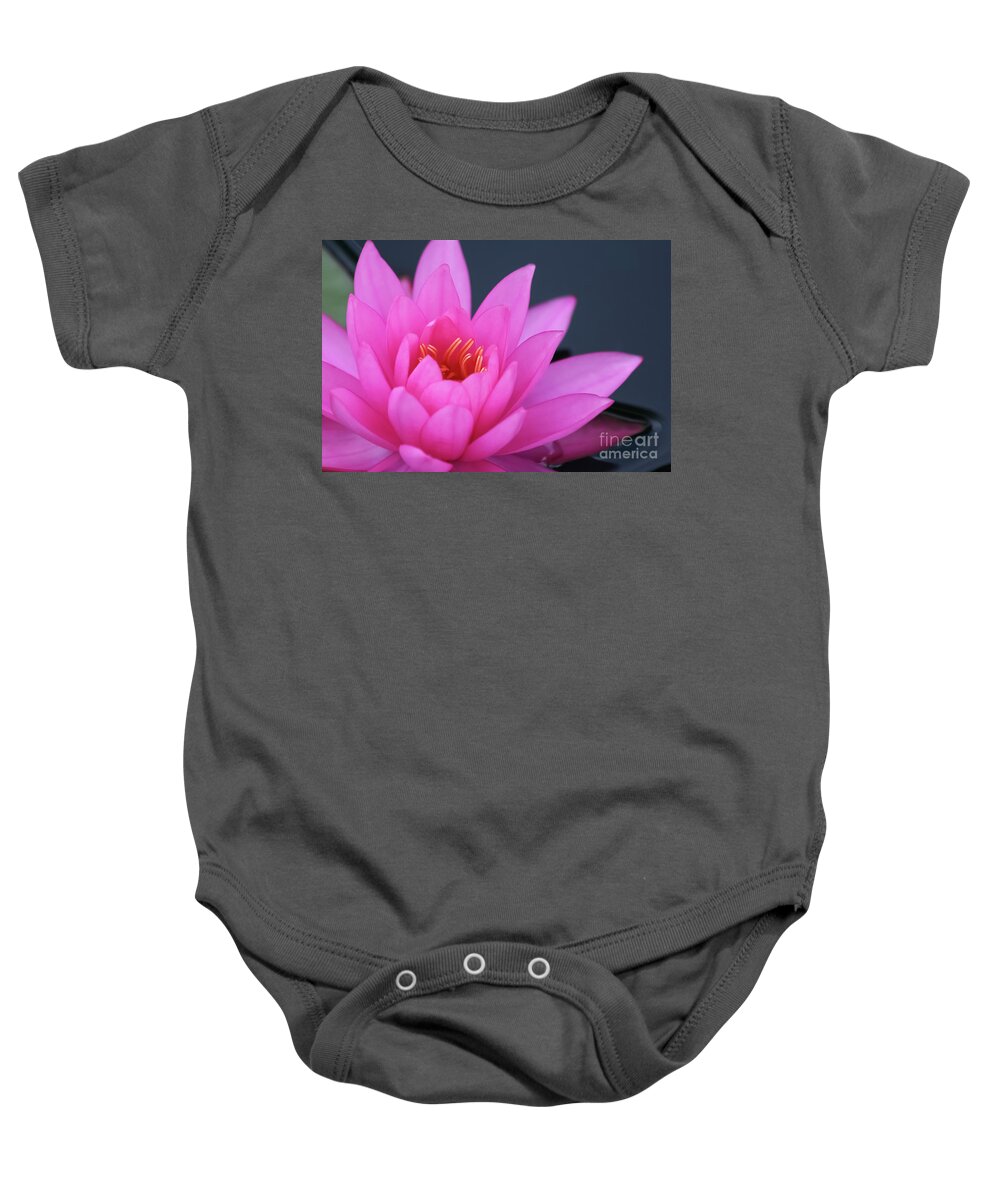Water Lily Baby Onesie featuring the photograph Romantic Pink Water Lily by Amy Sorvillo