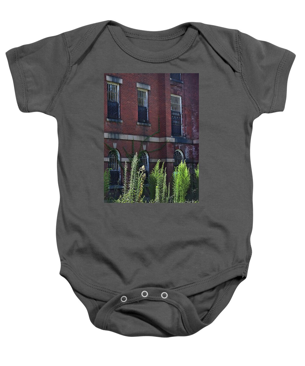 Culture Baby Onesie featuring the photograph Rooms With A View by Skip Willits
