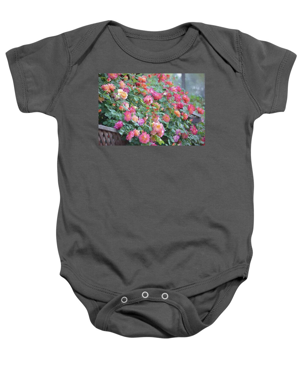 Floral Baby Onesie featuring the photograph Rose 360 by Pamela Cooper