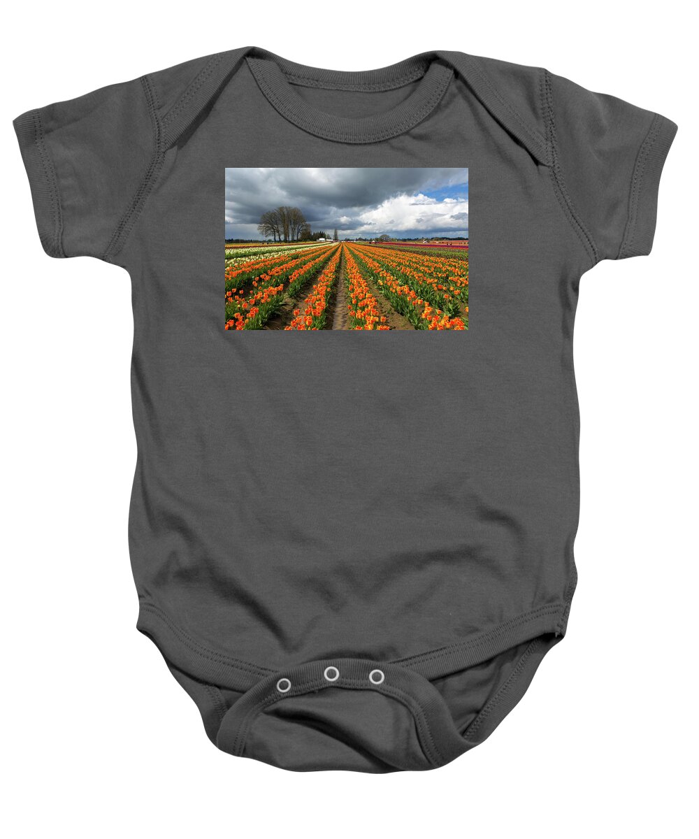 Wooden Shoe Baby Onesie featuring the photograph Rows of Colorful Tulips at Festival by David Gn