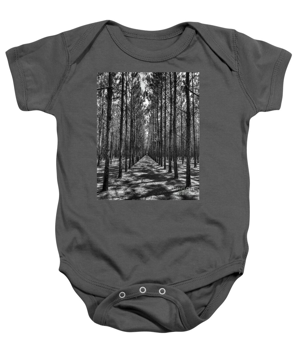 Pines Baby Onesie featuring the photograph Rows of Pines Vertical by Gulf Coast Aerials -