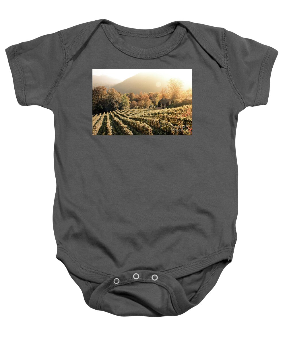 Autumn Baby Onesie featuring the photograph Rows of vine in a vineyard in ticino, switzerland at sunset by Amanda Mohler