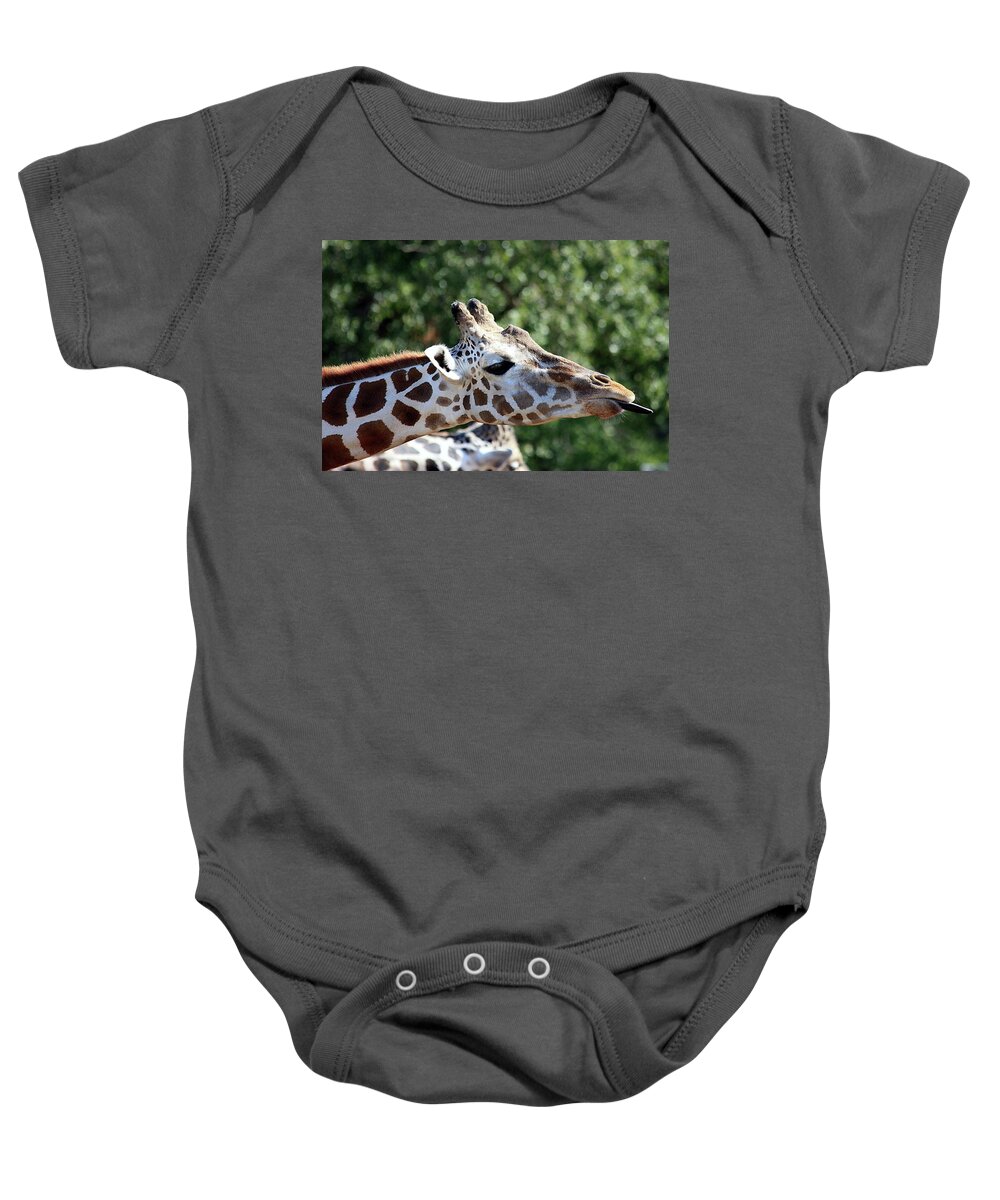 Nature Baby Onesie featuring the photograph Rude Giraffe by Sheila Brown
