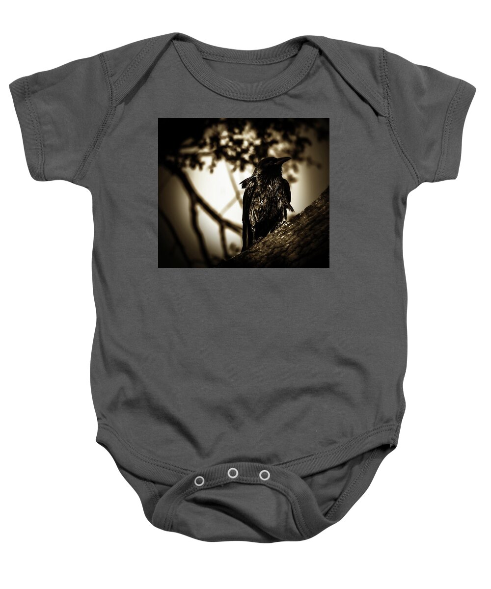  Baby Onesie featuring the photograph Ruffled by Stoney Lawrentz