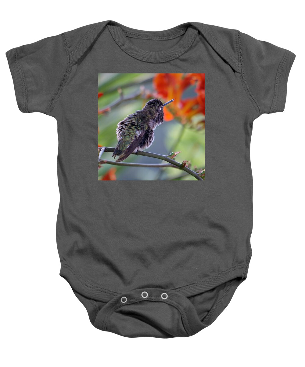 Humming Bird Baby Onesie featuring the photograph Ruffled by Wayne Enslow