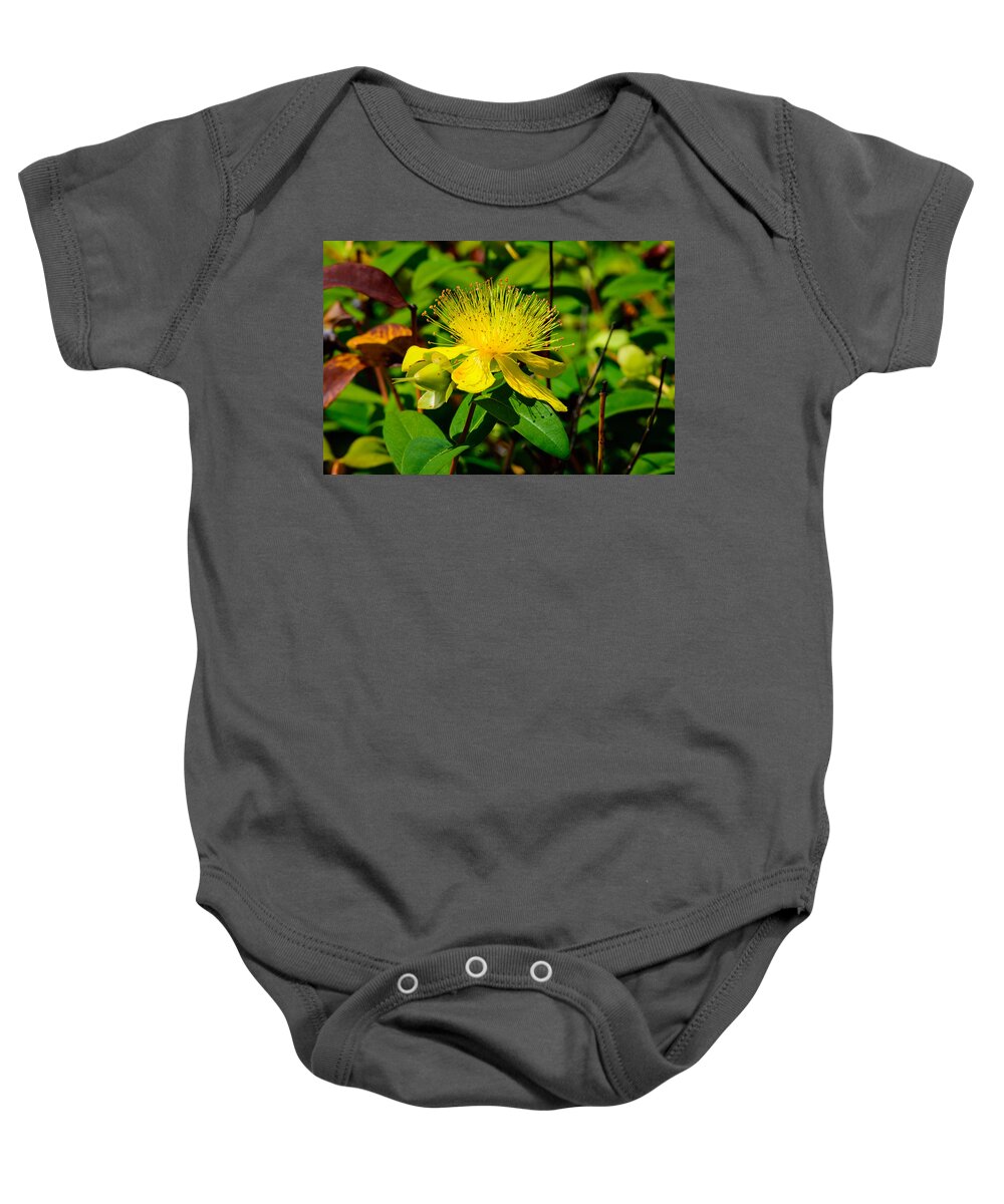 Flower Baby Onesie featuring the photograph Saint John's Wort Blossom by Tikvah's Hope