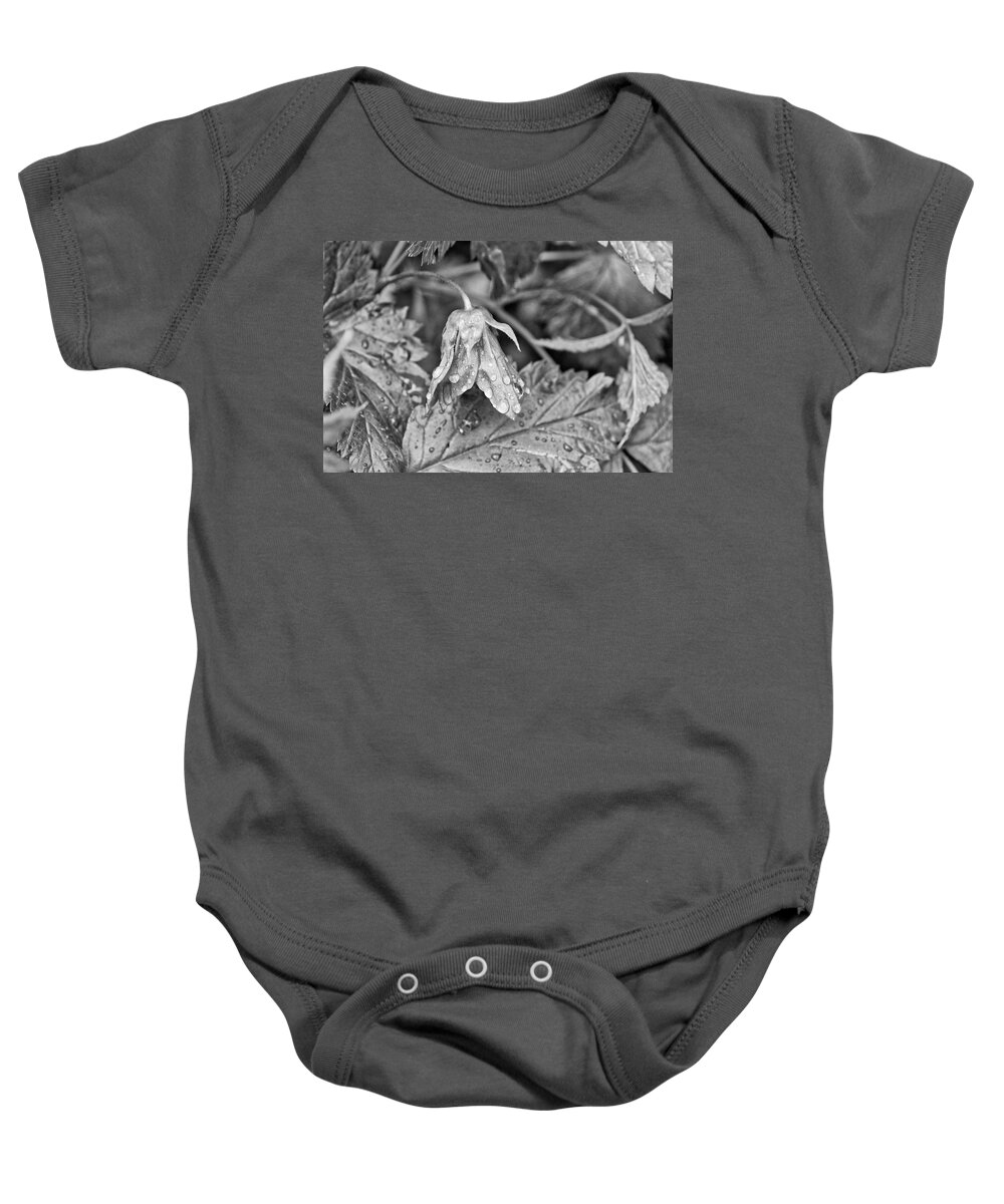 Salmonberry Baby Onesie featuring the photograph Salmonberry Flower in the Rain Monochrome by Cathy Mahnke