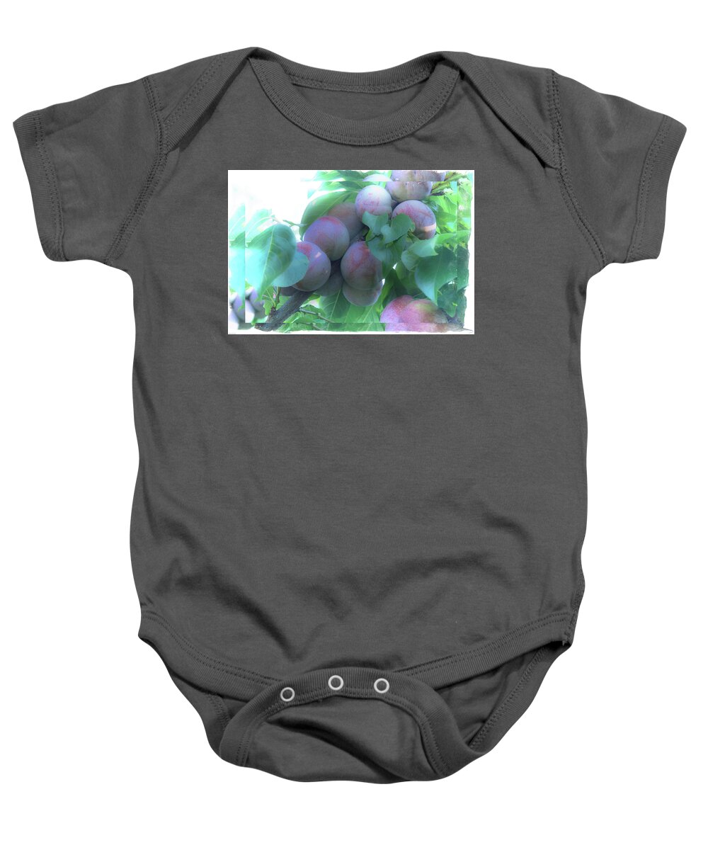 Satsuma Plum Baby Onesie featuring the photograph Satsuma Plum Framed by Mick Anderson