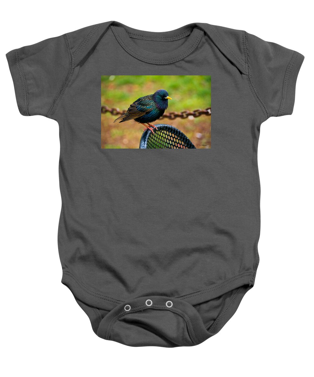 Bird Baby Onesie featuring the photograph Saving A Seat by Christopher Holmes