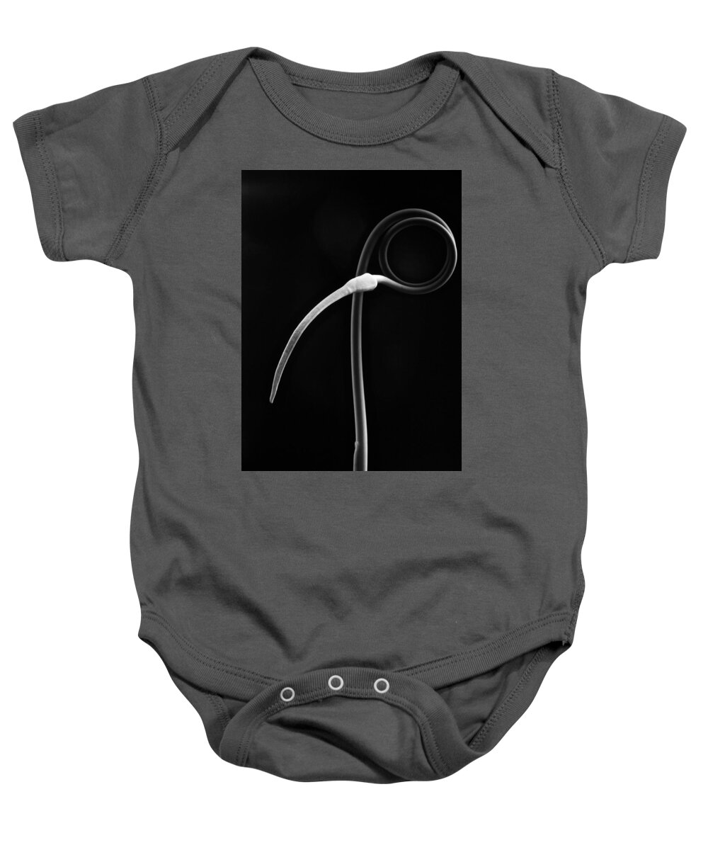 Flowers Baby Onesie featuring the photograph Scapes 1 by Thomas Pipia