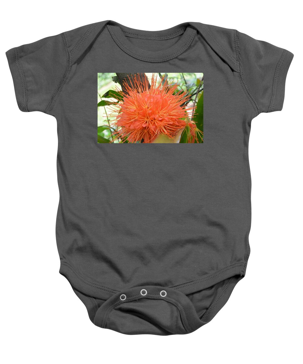 Kauai Baby Onesie featuring the photograph Scarlet Flame Bean Flower by Amy Fose