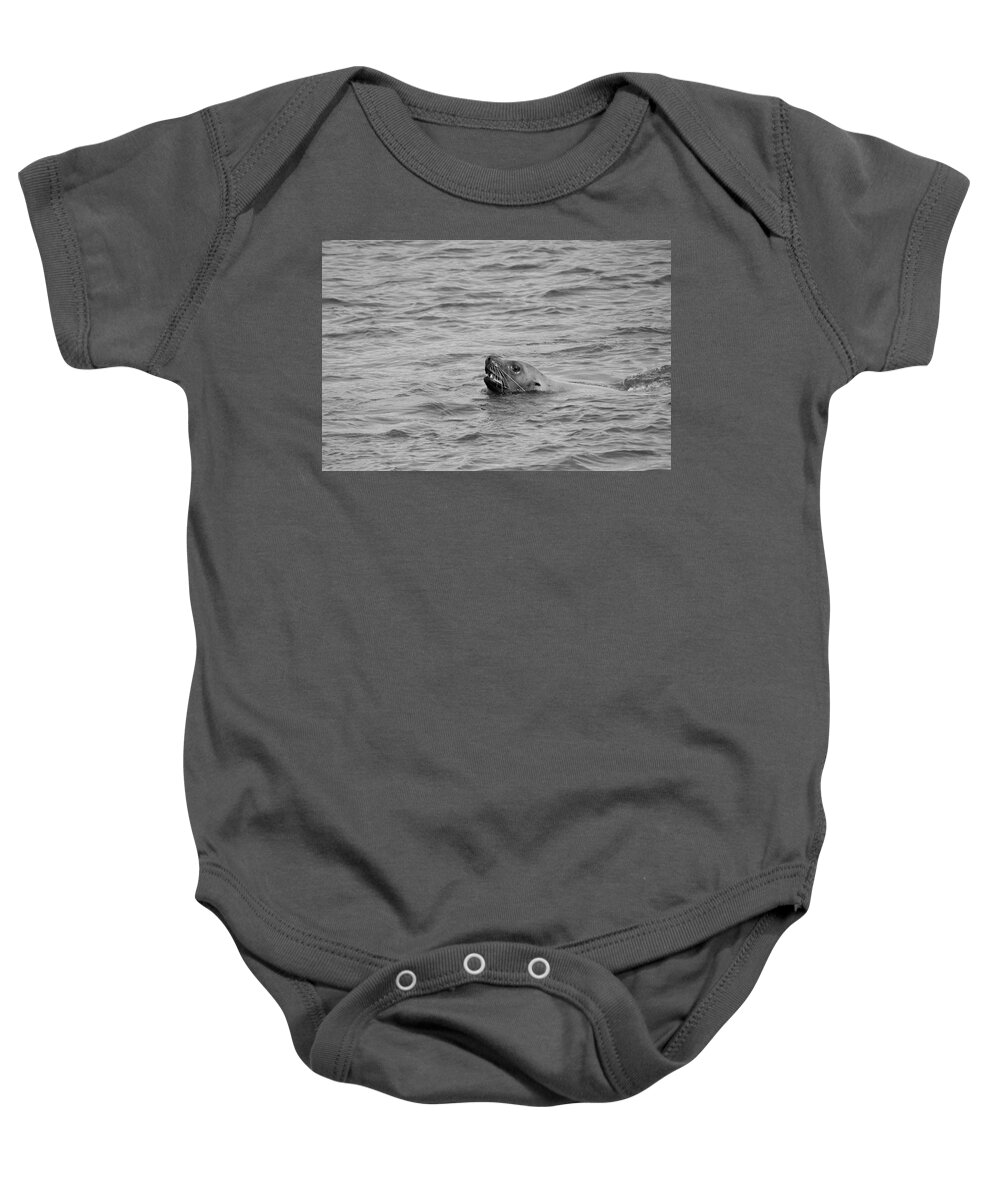 Animals Baby Onesie featuring the photograph Sea Lion in the Wild by Paul Ross