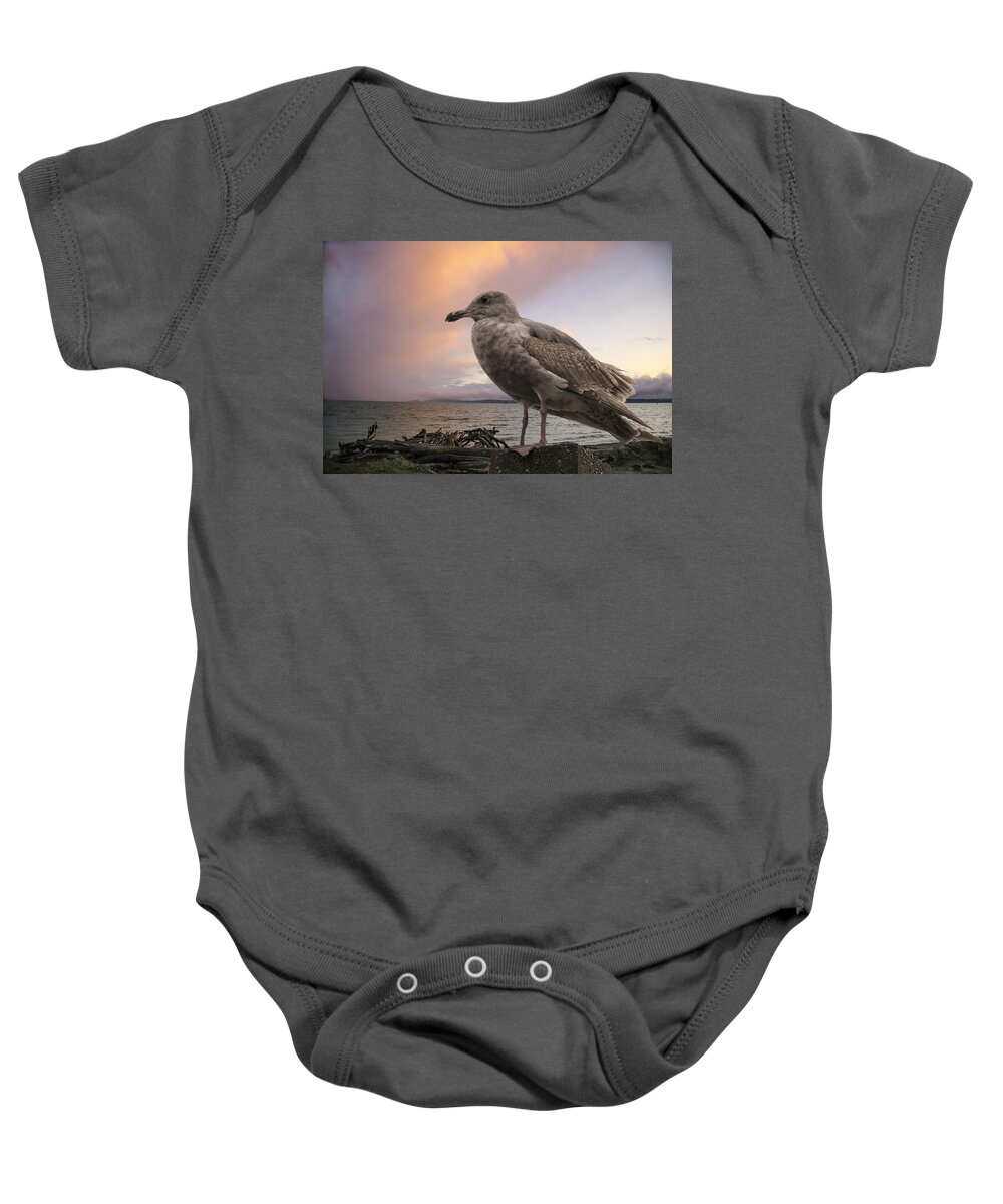 Seagull Baby Onesie featuring the photograph Seagull At Sunset by Lorraine Baum