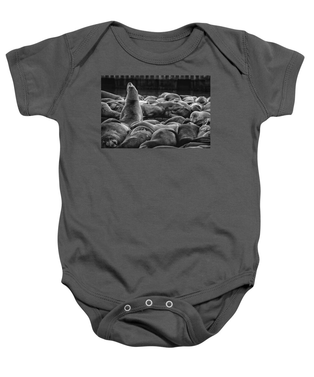 Sea Baby Onesie featuring the photograph Sealed Up by Scott Wyatt