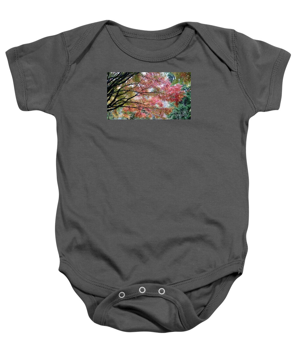 Landscape Baby Onesie featuring the photograph Autumn Hues by Anita Adams