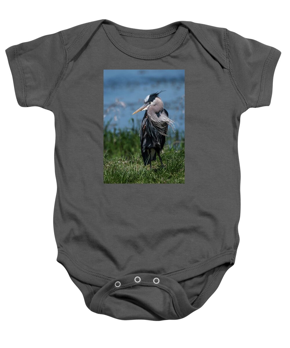 Animals Baby Onesie featuring the photograph Shaggy Mane by Robert Potts