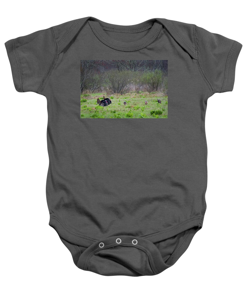 Turkey Baby Onesie featuring the photograph Showing Off by Bill Wakeley