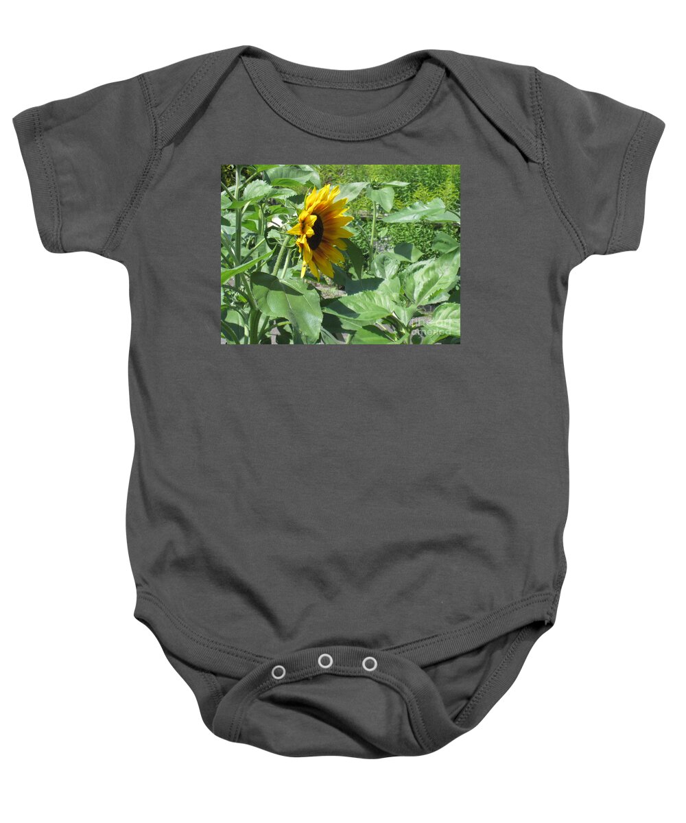 Sunflower Baby Onesie featuring the photograph Shy Sunflower by Brandy Woods