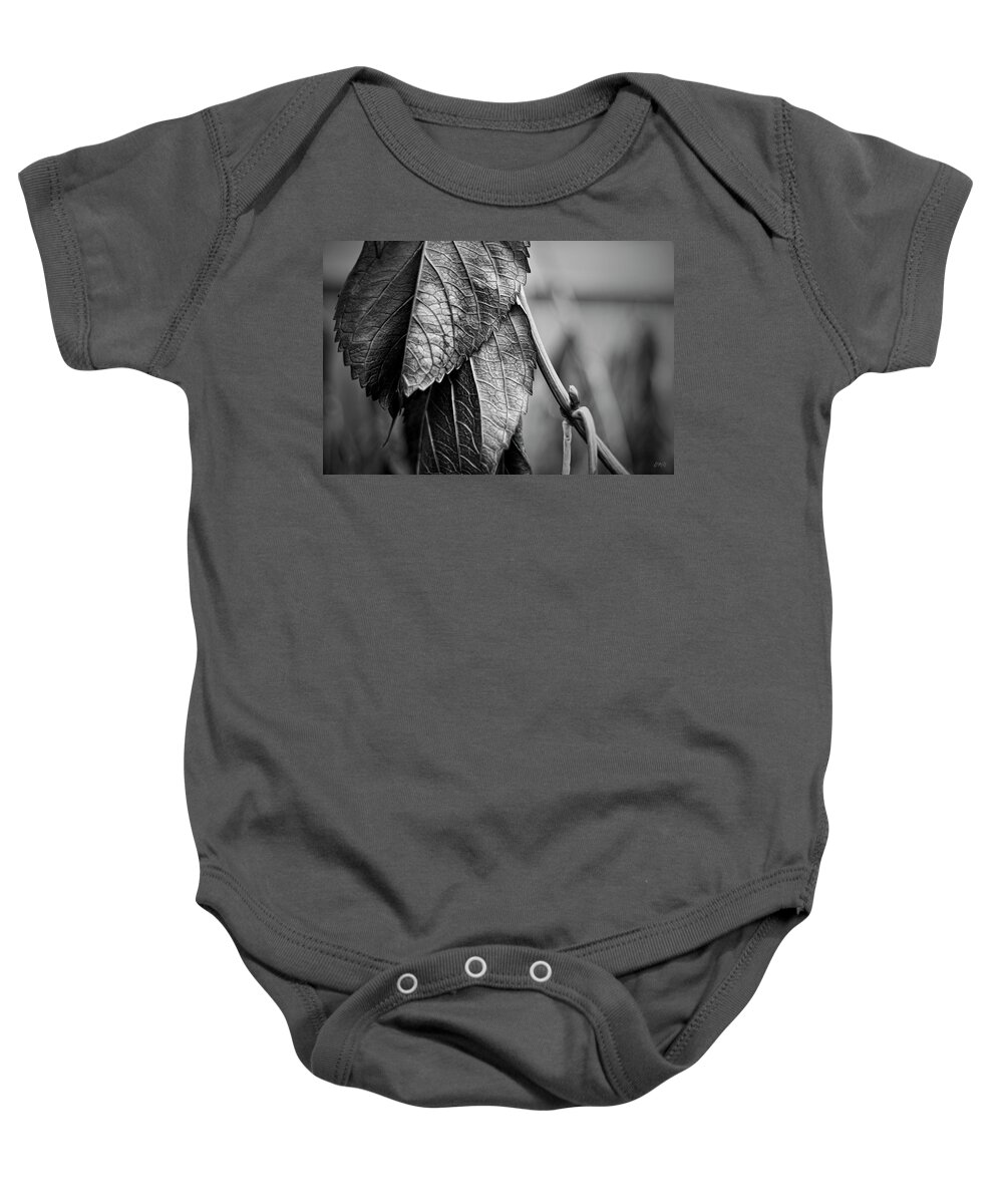 Black Baby Onesie featuring the photograph Silvery Leaves III by David Gordon