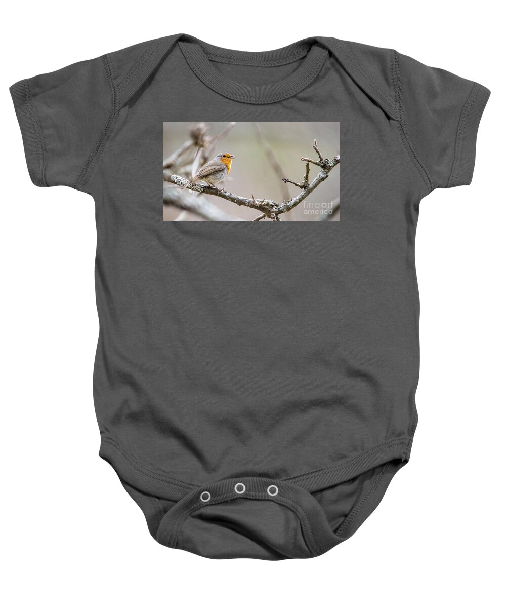 Singing Robin Baby Onesie featuring the photograph Singing Robin by Torbjorn Swenelius